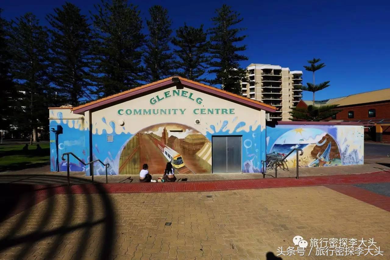 中国哪里可以抱考拉,全球哪里可以抱考拉