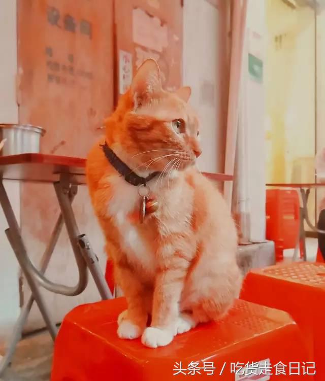 挑战南京100元吃一周,100元吃遍广州西华路