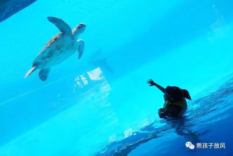 珠海长隆带孩子性价比游玩攻略,跨年珠海长隆海洋王国攻略最新