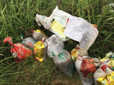 五一在哪里挖野菜好,五一小长假去山边挖野菜