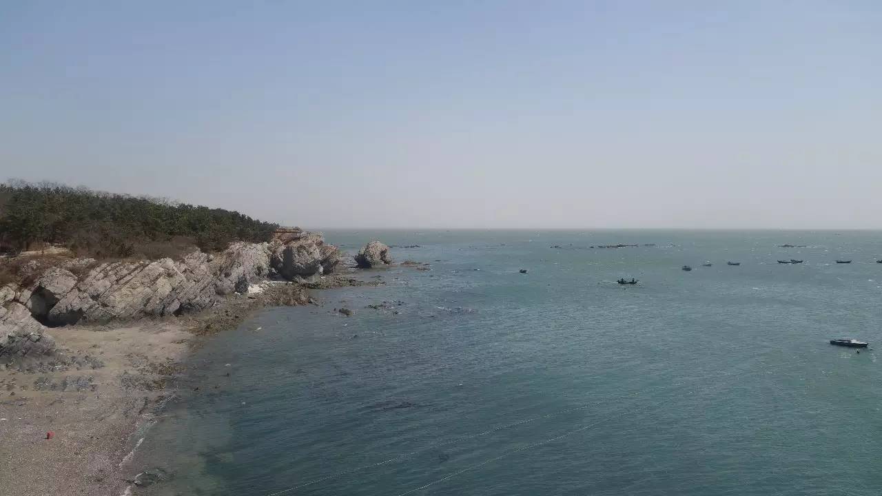 大连东北路有什么好玩的,大连哪里的海岸好玩