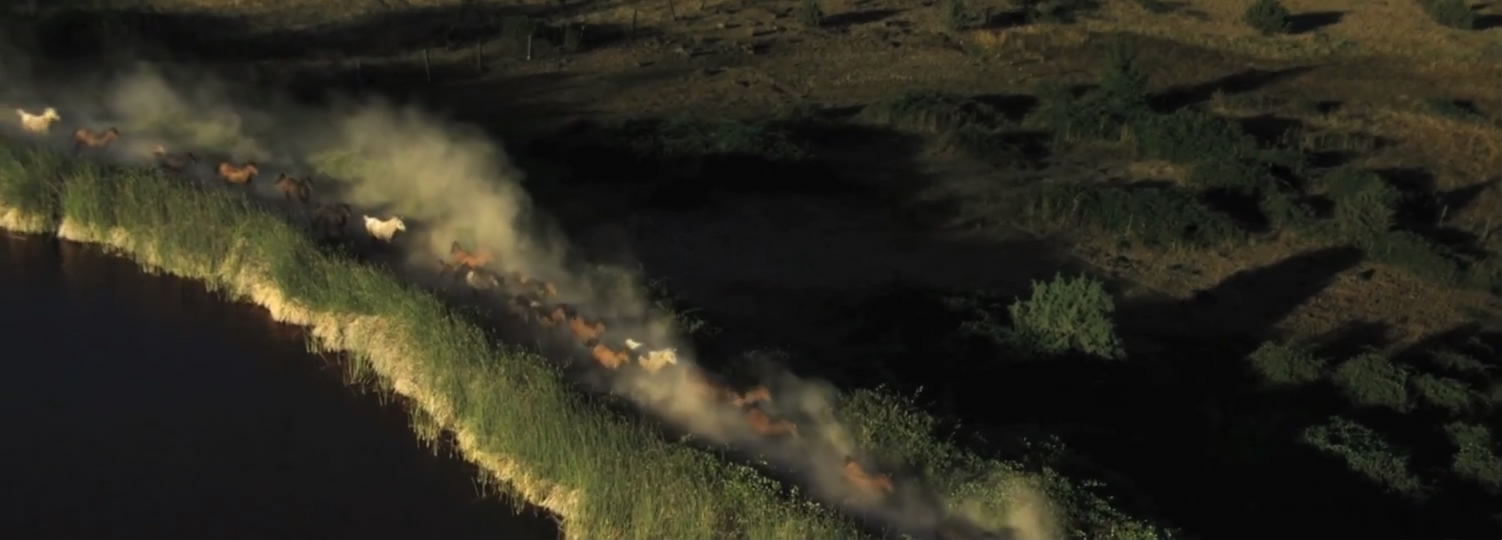 领航者全新宣传片,领航未来宣传片大全