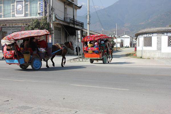 广州出发穷游15天攻略,旅行攻略国内穷游三天三夜