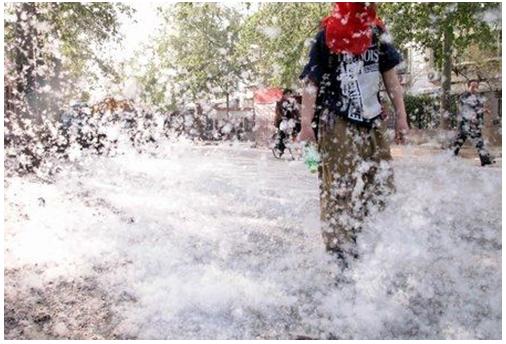 杨柳絮有哪些缺点不足及危害,杨柳絮是怎么导致的