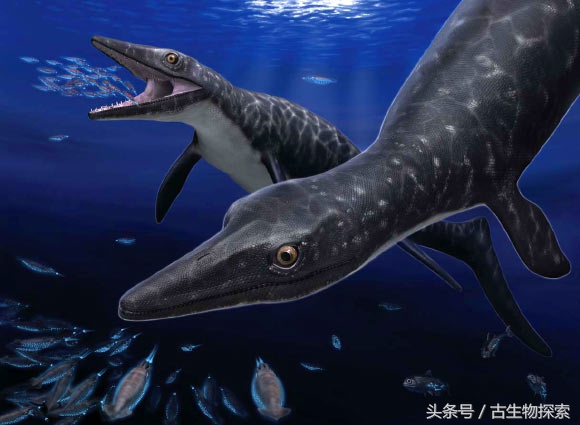 日本发现的恐龙化石,日本恐龙化石