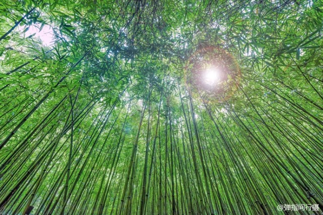 西樵山下黄飞鸿的故乡,黄飞鸿故里佛山哪里