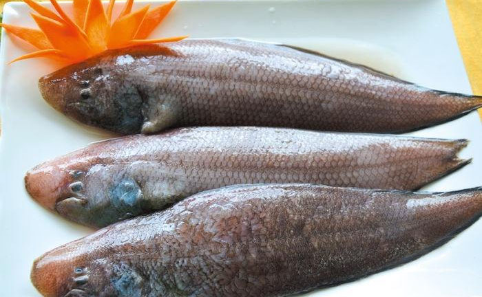 龙利鱼的新吃法很多人没见过,龙利鱼8种最佳干煎龙利鱼吃法