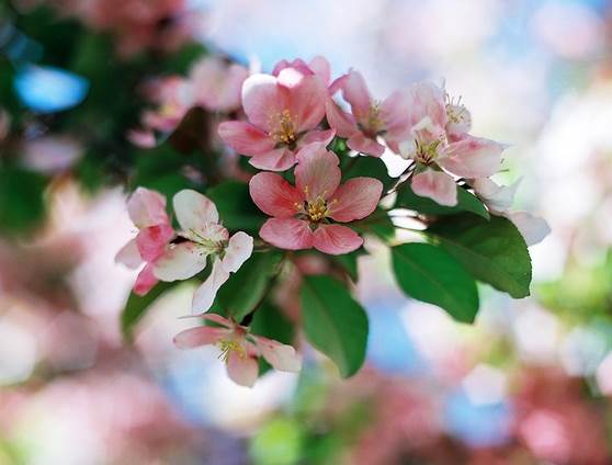 正能量的图片配文字励志,哲理人生经典语录文字图片