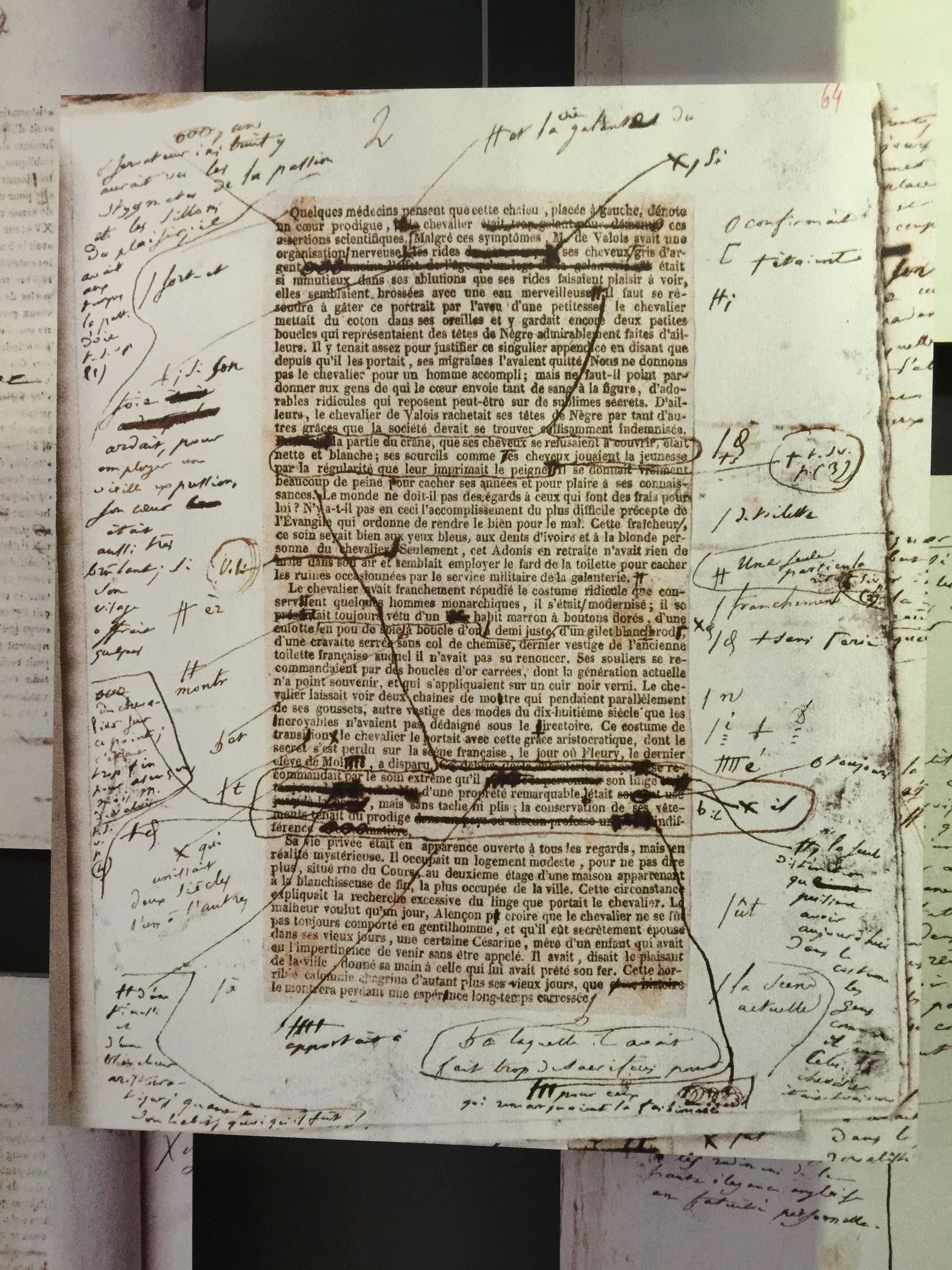 巴尔扎克的黄玫瑰正在热烈开放