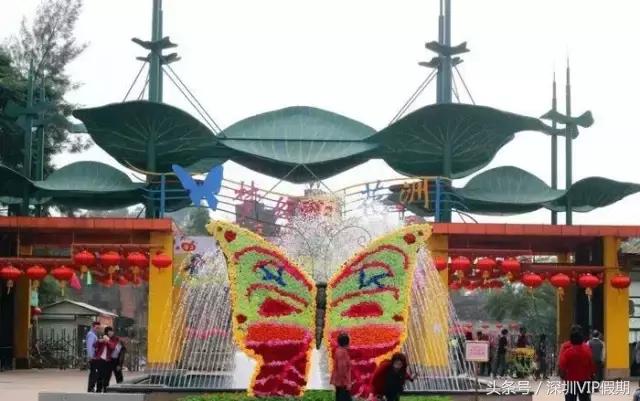 从化毅华温泉特点,从化毅华温泉旅游攻略