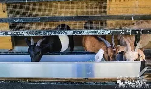 台湾花莲云顶民宿,台湾高雄花莲民宿