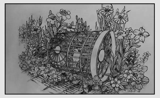 插画师迷狸：路过，停留