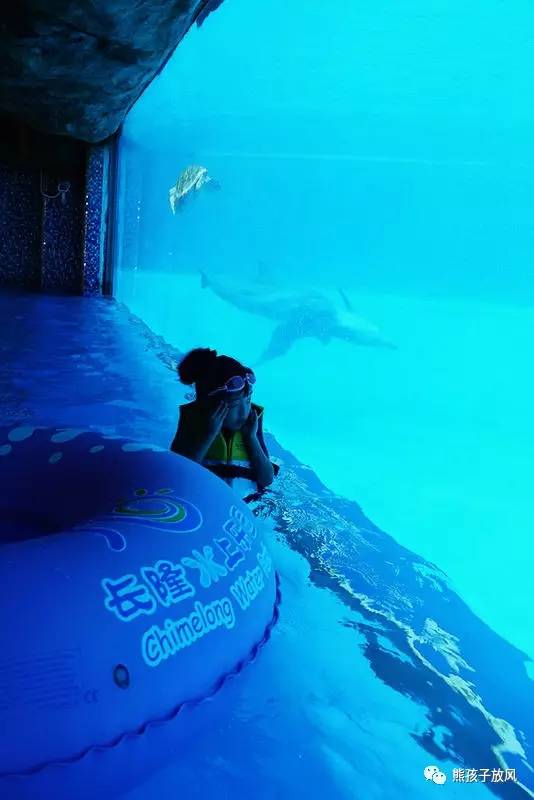 珠海长隆带孩子性价比游玩攻略,跨年珠海长隆海洋王国攻略最新