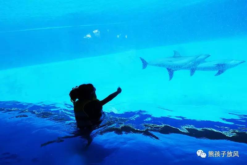 珠海长隆带孩子性价比游玩攻略,跨年珠海长隆海洋王国攻略最新