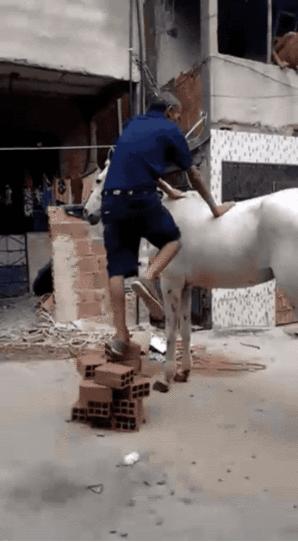 我有一个大胆的想法出处,我有一个大胆的想法用英语怎么说