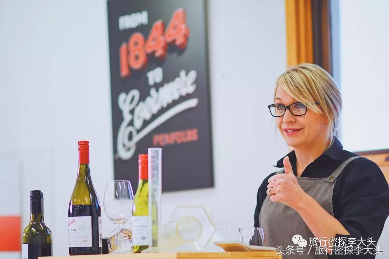 中国哪里可以抱考拉,全球哪里可以抱考拉