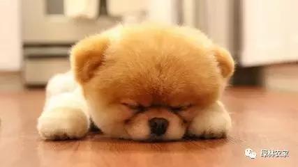 立夏火热的季节来了,立夏夏天猝不及防就来了