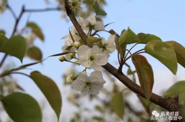 祁县三个村,祁县所有村名单