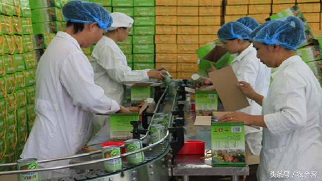 2021农村小投资大回报的项目,适合农村发展的小投资项目有哪些