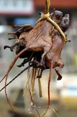 活老鼠、可爱兔兔、牛粪……这些你敢吃吗？有人视它为美食！