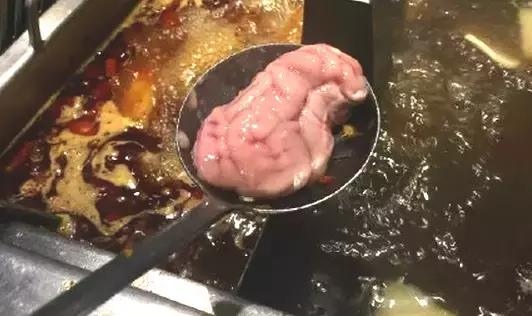 活老鼠、可爱兔兔、牛粪……这些你敢吃吗？有人视它为美食！