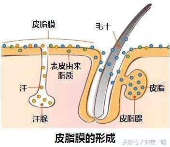 男生干皮如何保湿补水,男生补水保湿水乳推荐