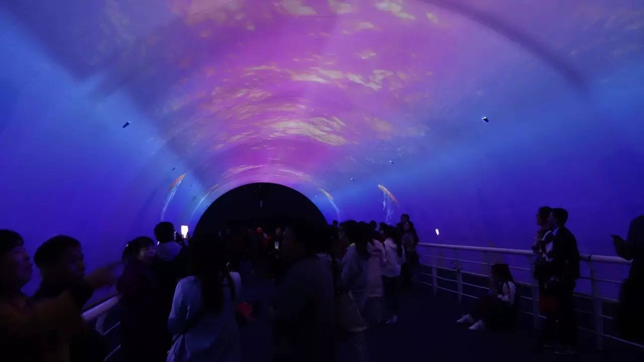 大连东北路有什么好玩的,大连哪里的海岸好玩