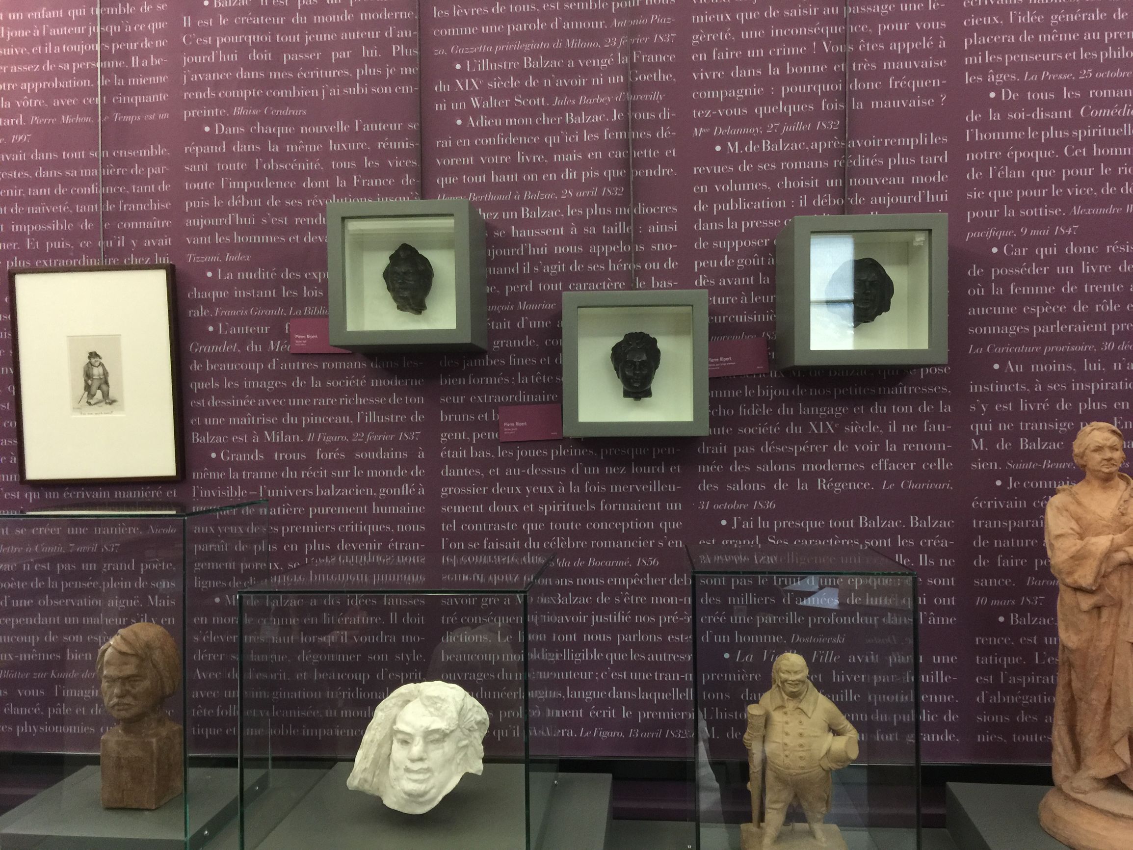 巴尔扎克的黄玫瑰正在热烈开放