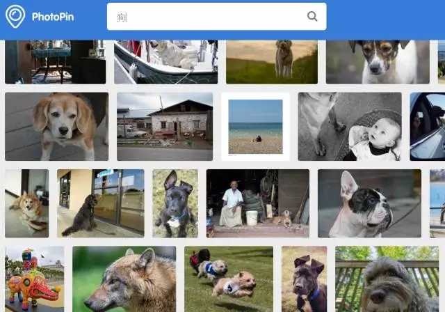 好用的电视剧资源搜索网站,必备网站搜索资源推荐大全