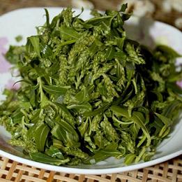 杨柳絮有哪些缺点不足及危害,杨柳絮是怎么导致的