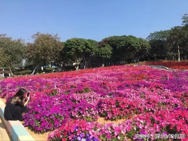 从化毅华温泉特点,从化毅华温泉旅游攻略