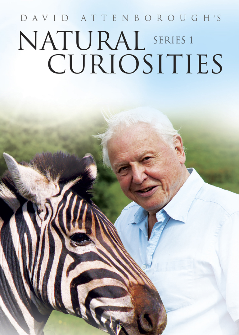 赵忠祥动物世界纪录片完整版,80年代赵忠祥动物世界视频