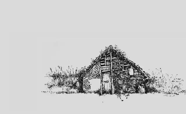 插画师迷狸：路过，停留