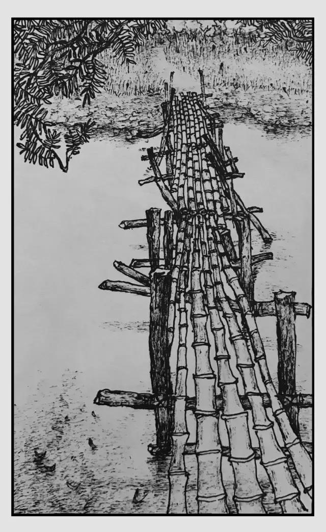 插画师迷狸：路过，停留