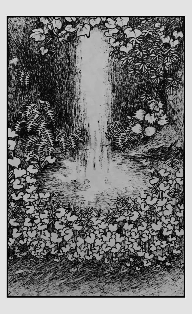 插画师迷狸：路过，停留