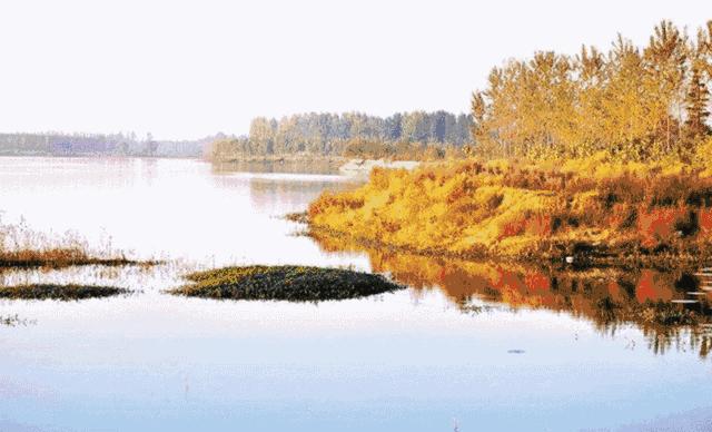 秋天南阳露营地推荐,五一南阳适合自带帐篷的露营地