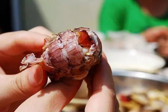 吃的真相｜是膏不是胶！皮皮虾，这锅我们不背！