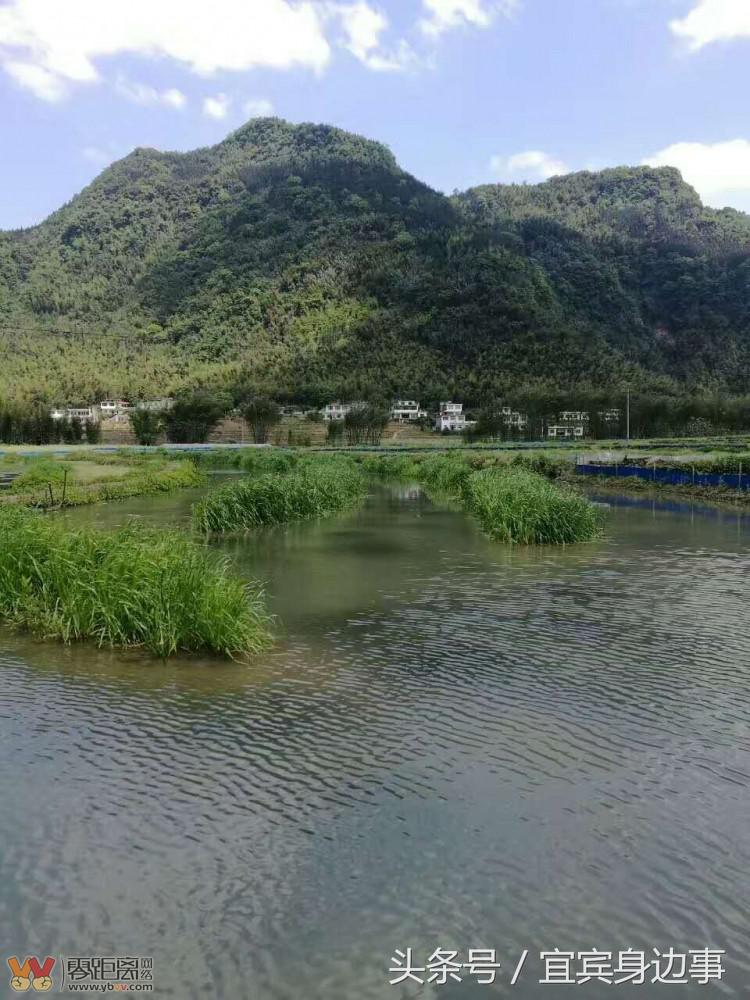 小龙虾基地钓龙虾,瑶海野钓龙虾的最佳地点