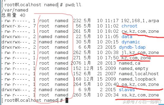 linux配置dns服务器步骤,在linux中dns服务器配置