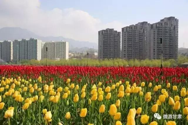 黄河三峡旅游攻略跟团,黄河三峡的攻略