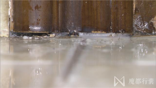 大面积白蚁怎么消灭最彻底,根治白蚁最简单有效的方法