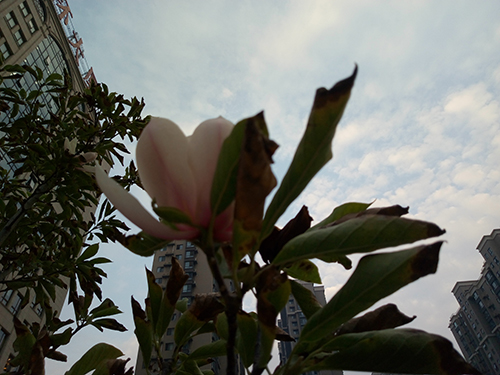 金立m6新款plus,金立m6全面评测