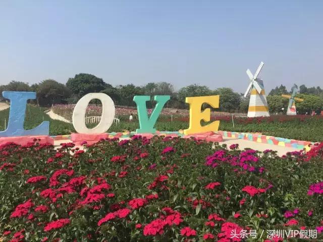 从化毅华温泉特点,从化毅华温泉旅游攻略