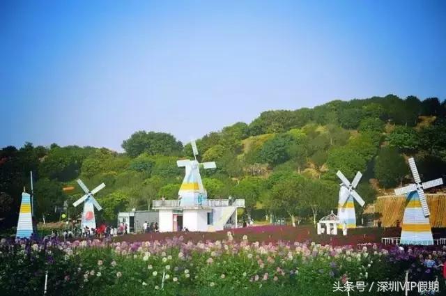 从化毅华温泉特点,从化毅华温泉旅游攻略