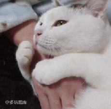 这算不算最萌身高差？