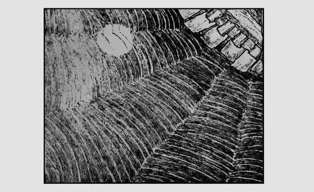 插画师迷狸：路过，停留