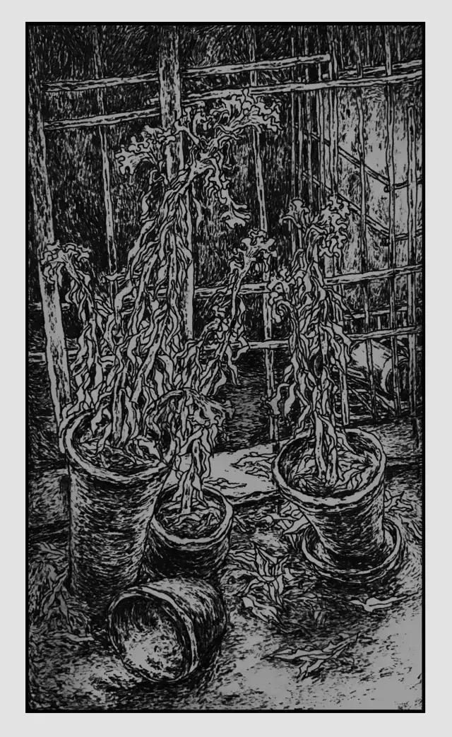 插画师迷狸：路过，停留