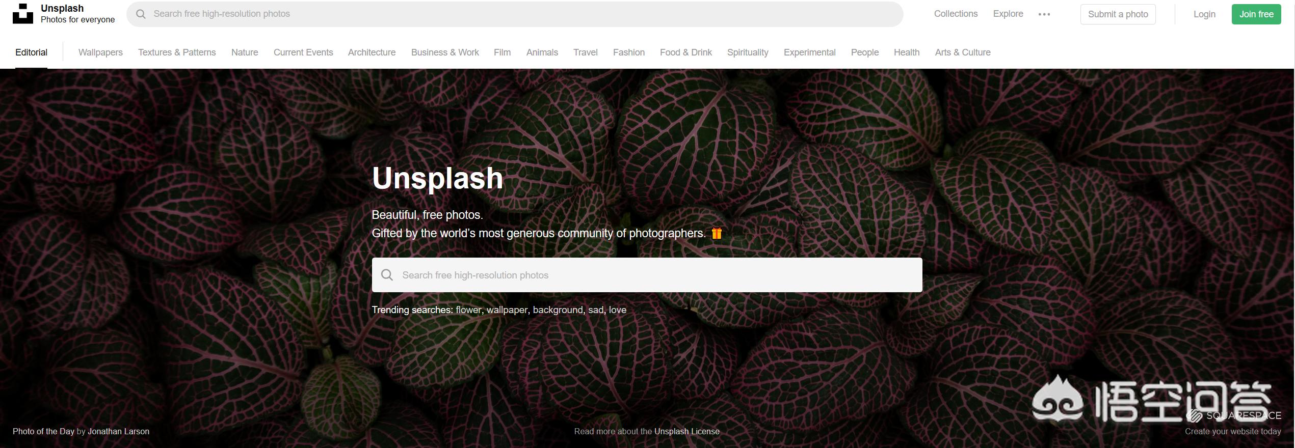 花瓣碎裂的素材,花瓣碎了素材