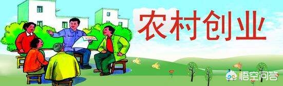 农村比较赚钱的种植养殖项目,农村种植养殖什么项目好