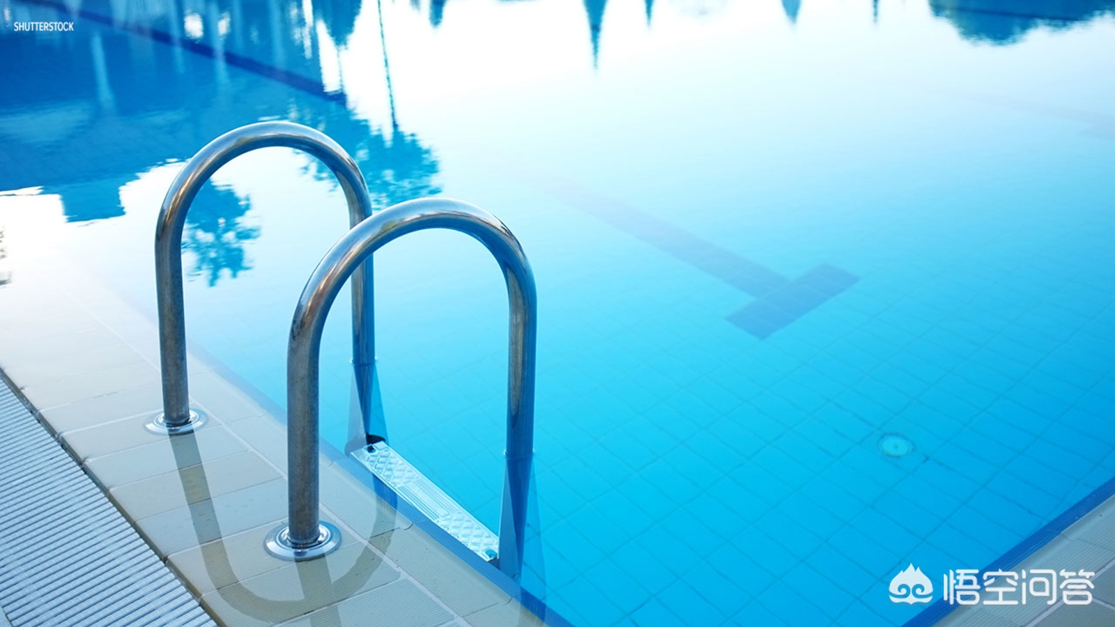 室内潜水池里为何有尿,为什么泳池有尿